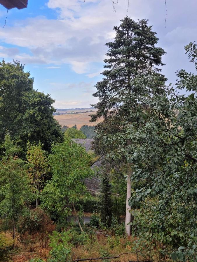 Ruheidylle Weitblick Leilighet Kleinich Eksteriør bilde